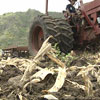 El Nino could spell bad news for farmers with drier than normal conditions. Photo courtesy KGMB9